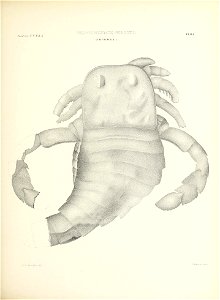 n398_w1150