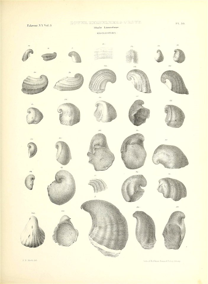 n278_w1150