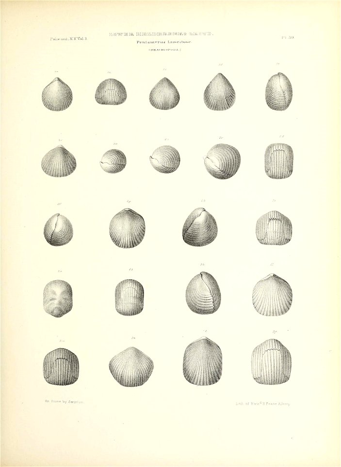 n158_w1150