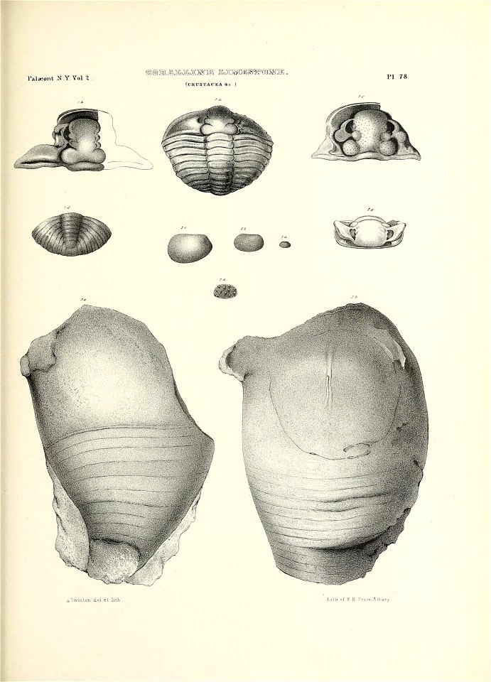 n772_w1150