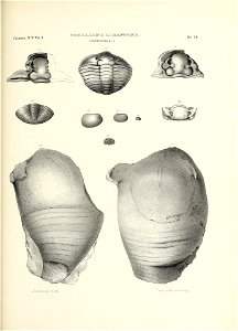 n772_w1150
