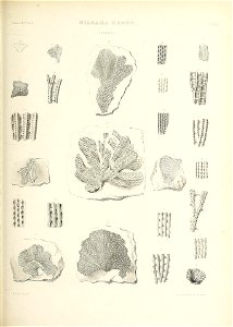 n592_w1150