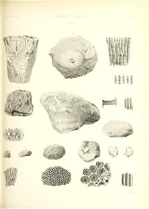 n532_w1150