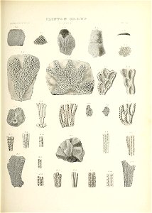 n472_w1150