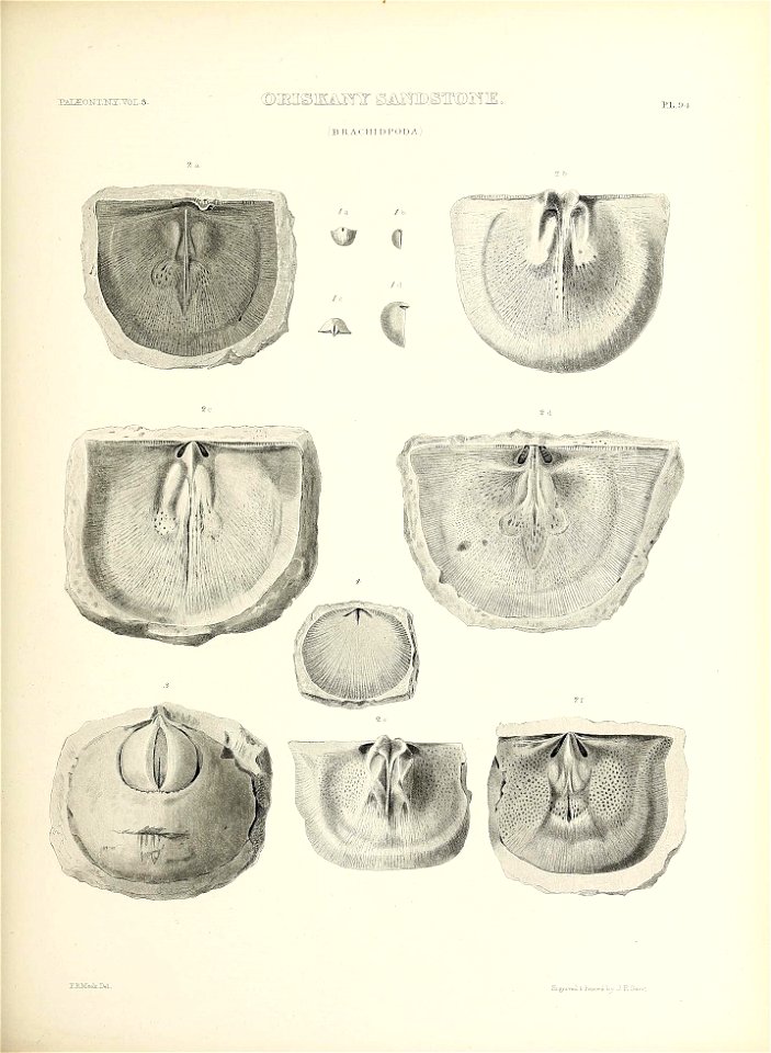 n454_w1150