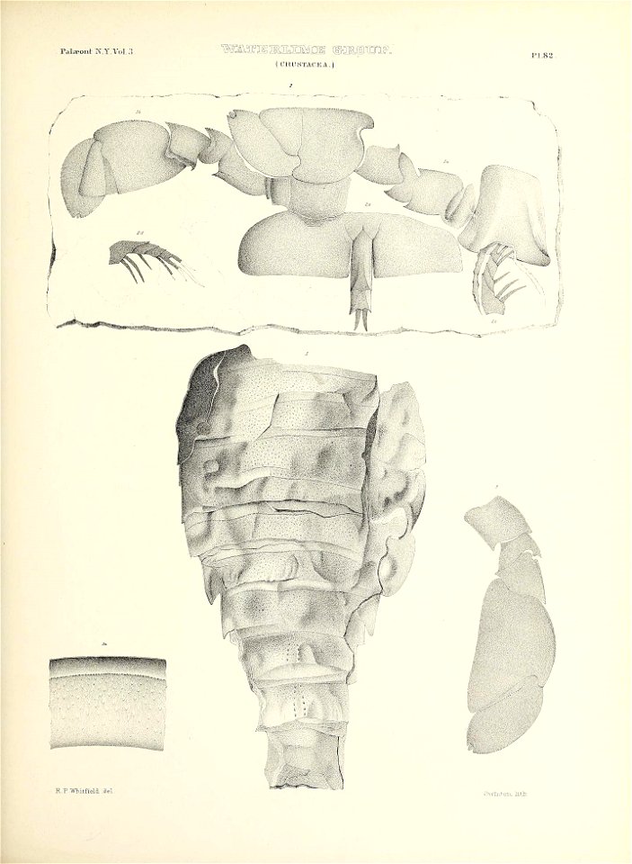 n394_w1150