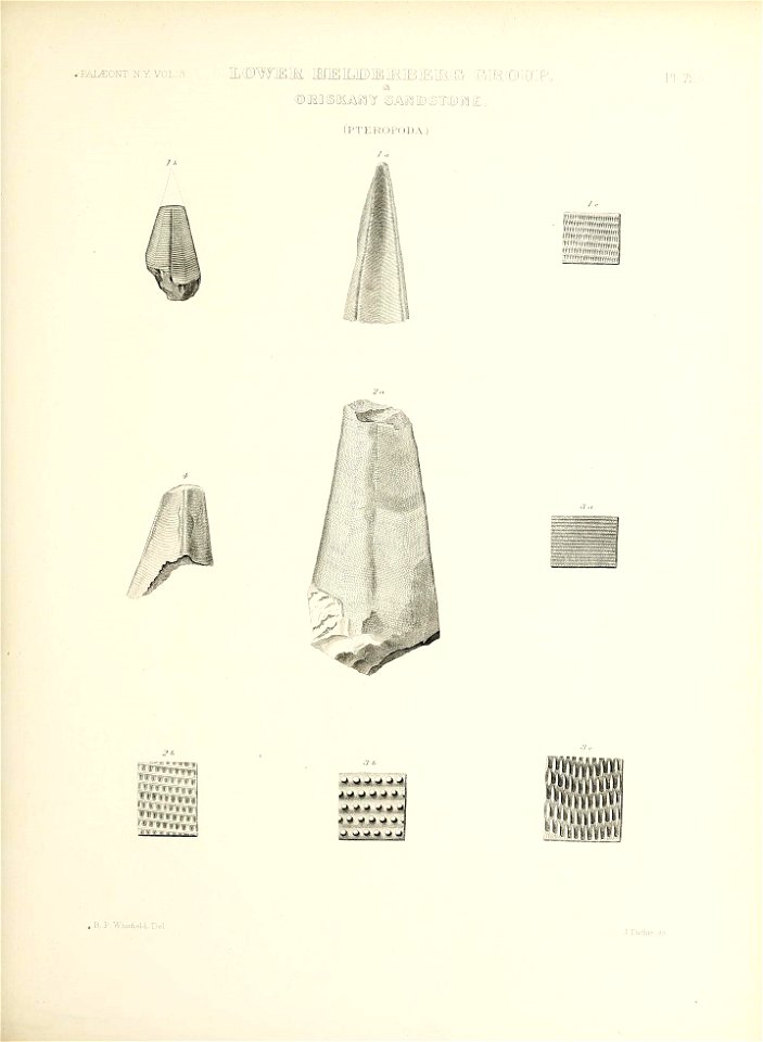 n334_w1150