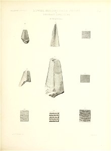 n334_w1150
