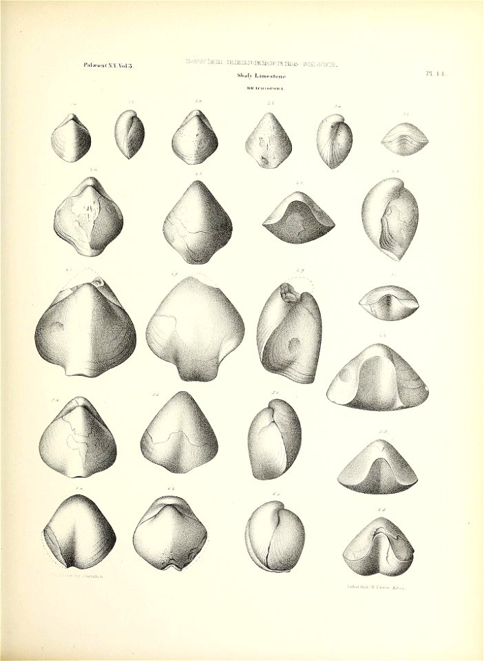 n214_w1150