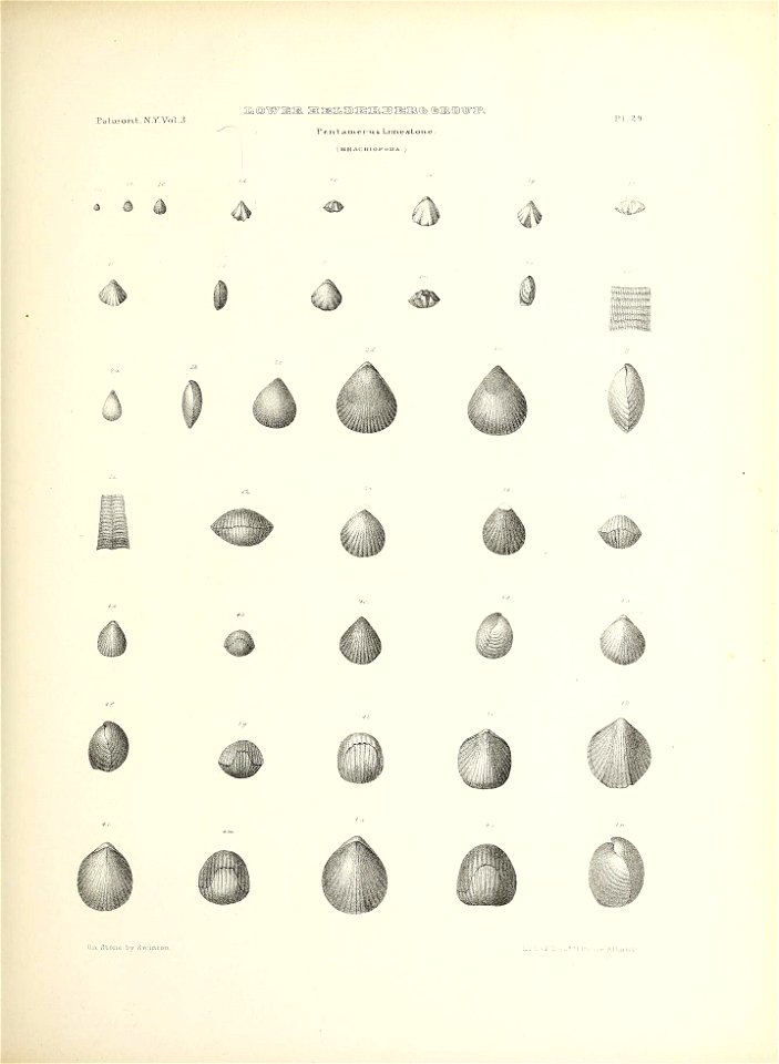 n154_w1150