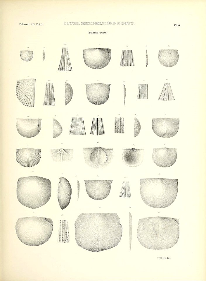n94_w1150