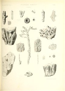n528_w1150