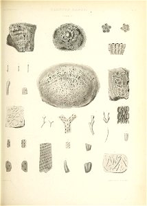 n468_w1150