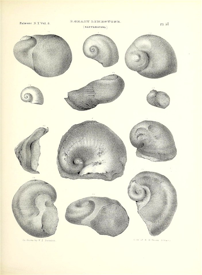n270_w1150