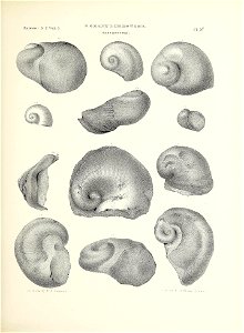 n270_w1150