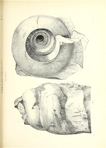 n764_w1150