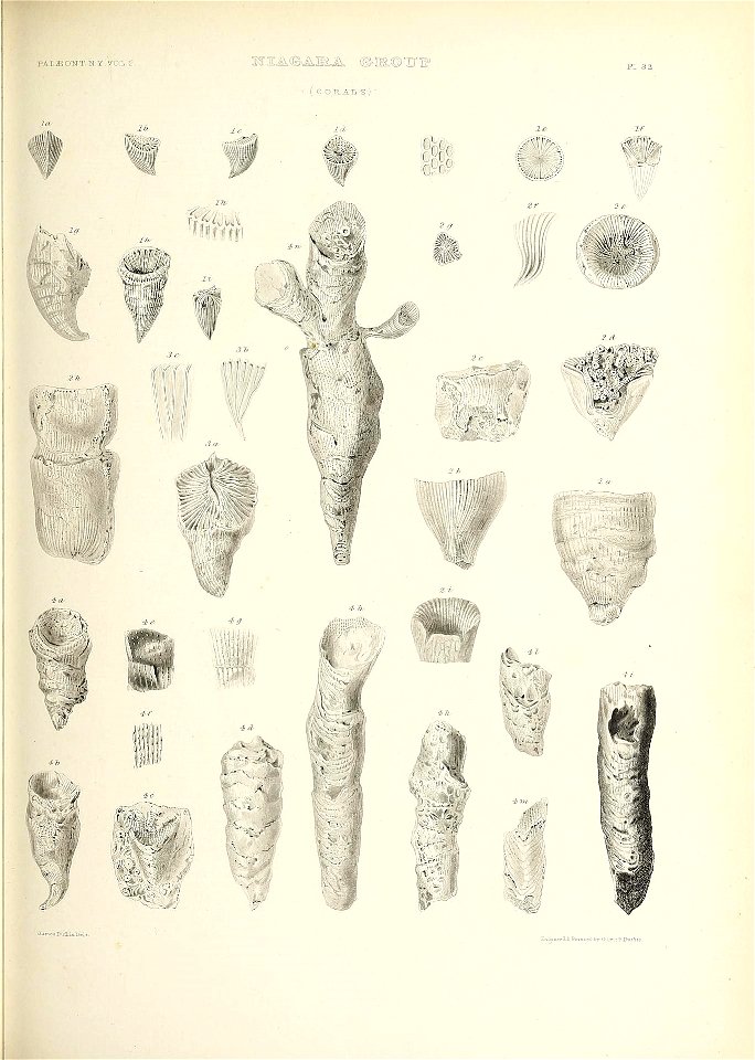 n524_w1150