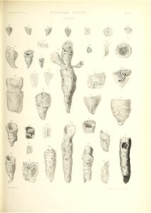 n524_w1150