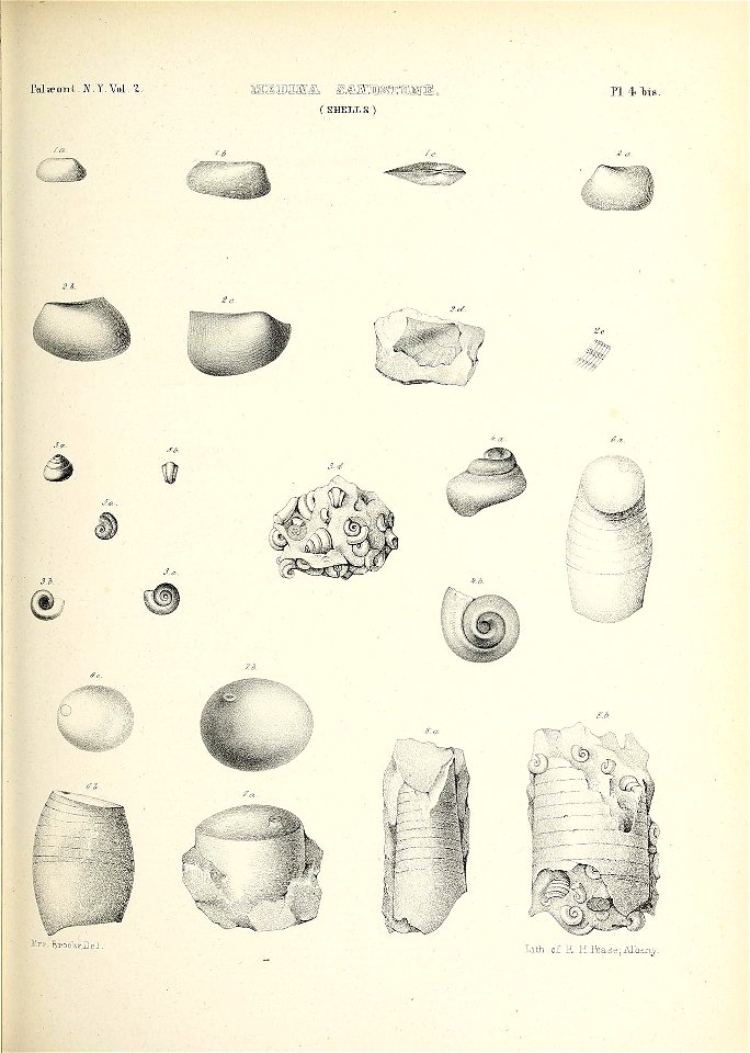 n404_w1150