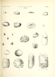 n404_w1150