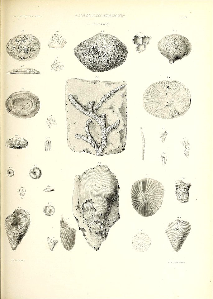 n464_w1150