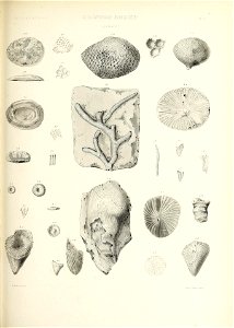 n464_w1150