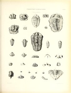 n676_w1150