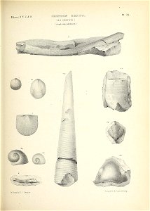 n520_w1150
