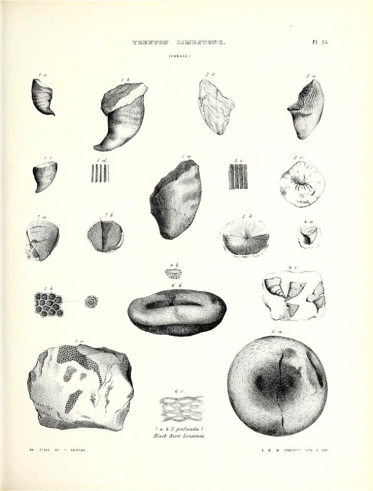 n486_w1150