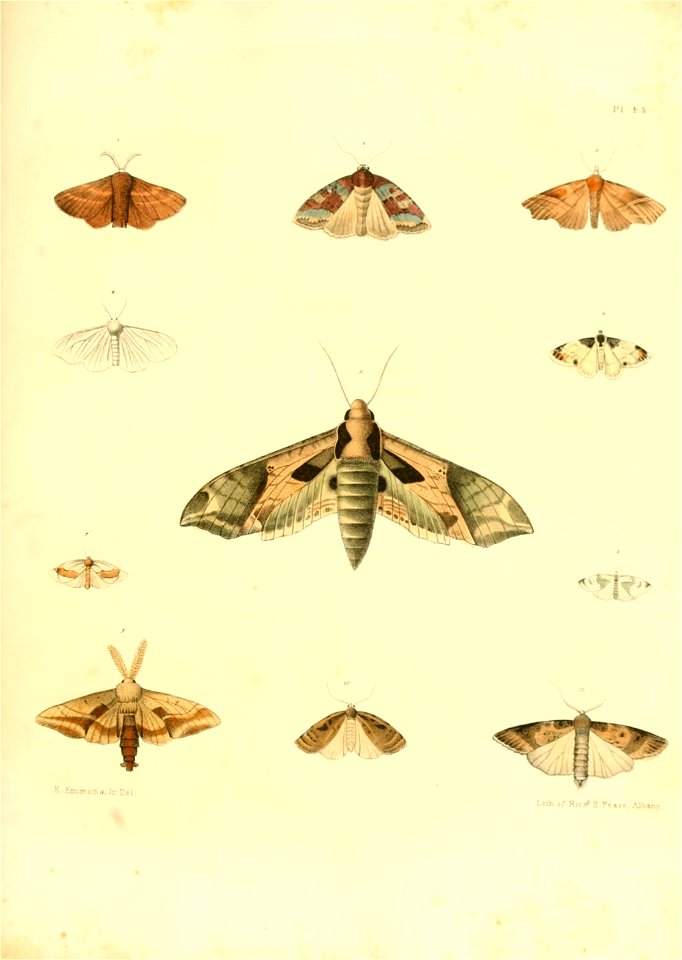 n478_w1150