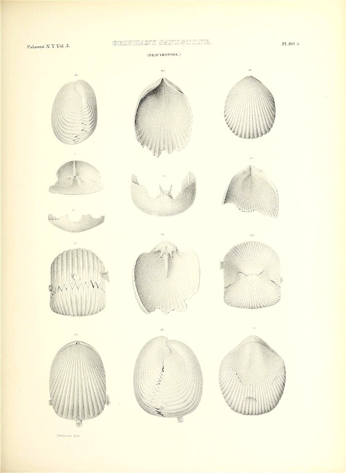 n502_w1150