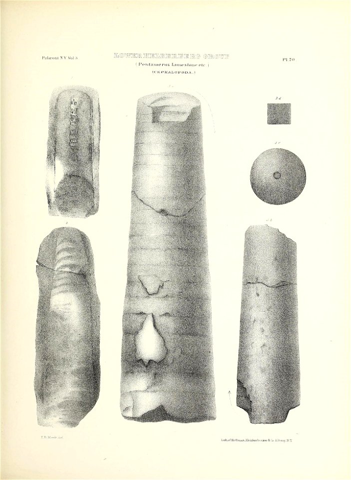 n322_w1150