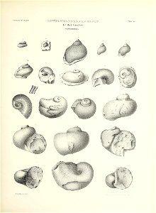n262_w1150