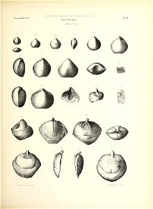 n202_w1150
