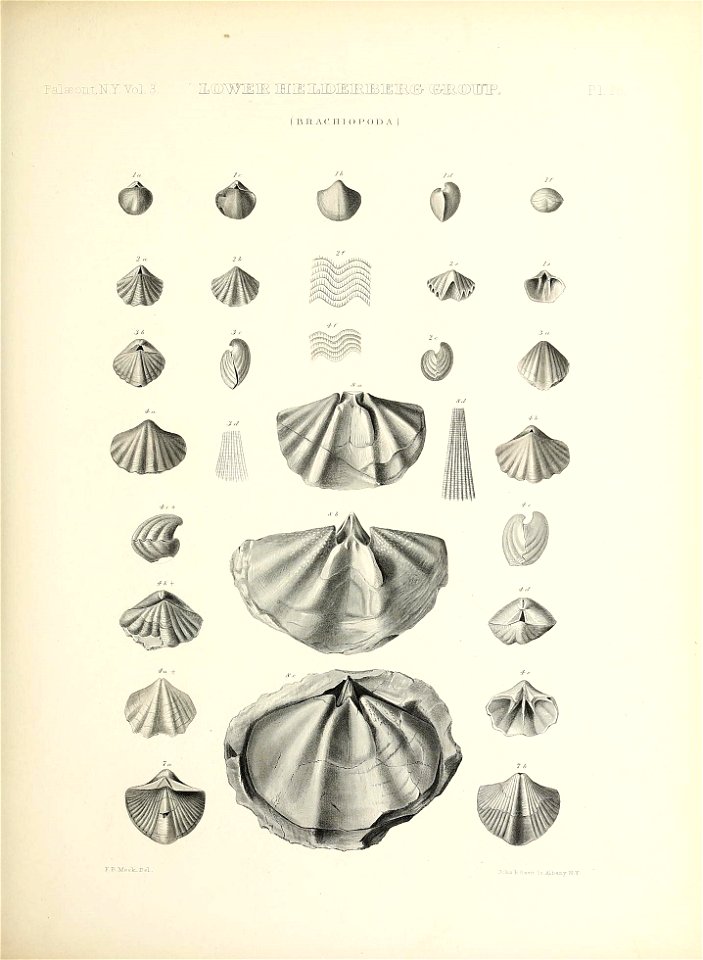 n142_w1150