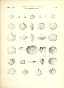 n82_w1150