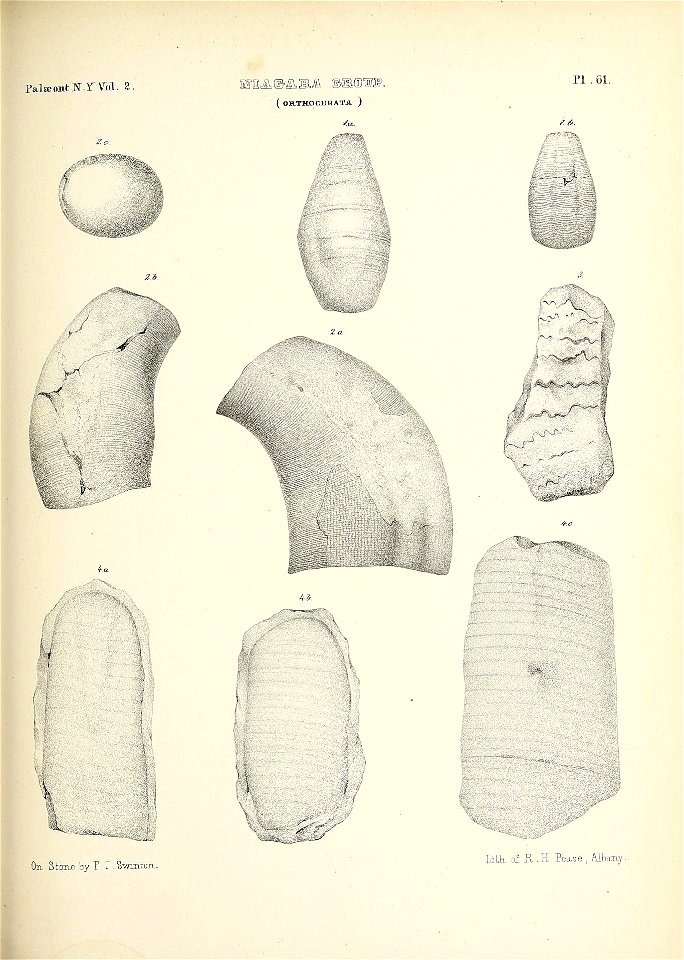 n696_w1150