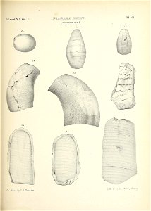 n696_w1150