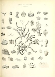n576_w1150