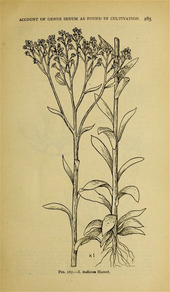 n292_w1150