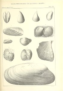n554_w1150