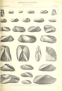 n494_w1150