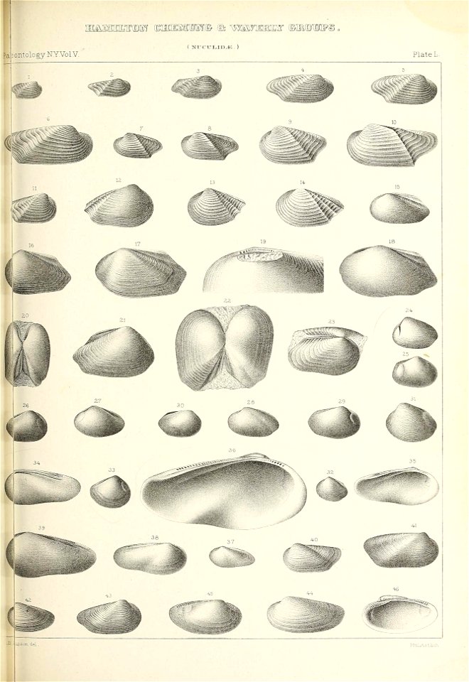 n434_w1150
