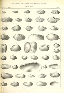 n434_w1150