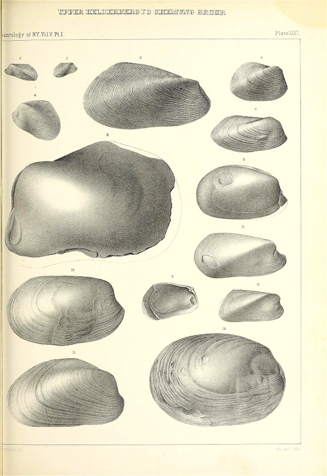 n374_w1150