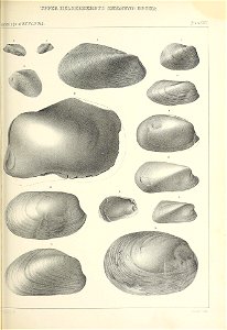 n374_w1150