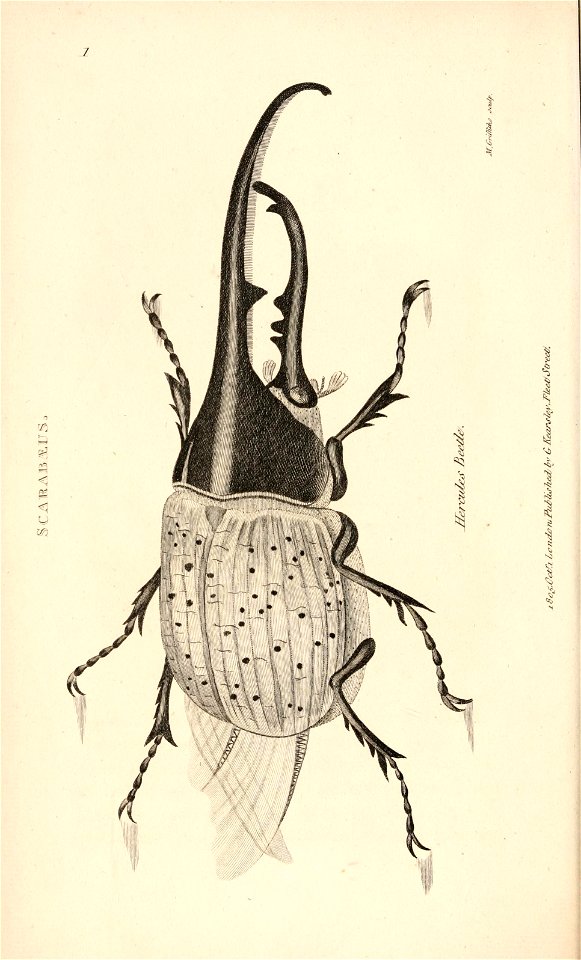 n45_w1150