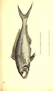 n568_w1150