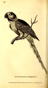 n571_w1150