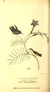 n463_w1150